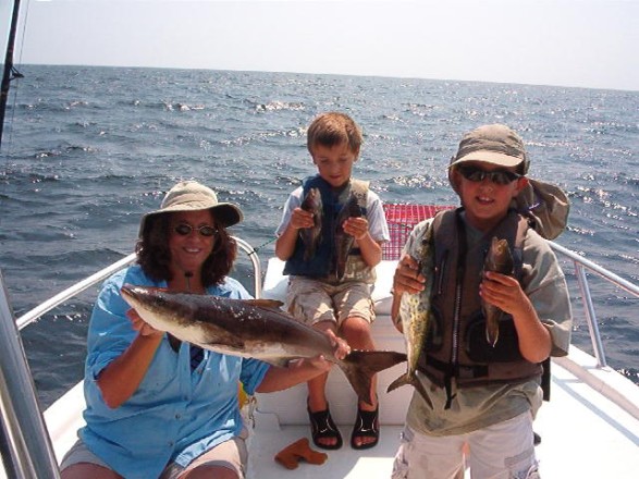 Cobia and Grouper