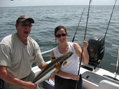 Laura's Cobia - safely released