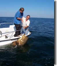 400 pound Goliath Grouper and Capt. Tony Murray