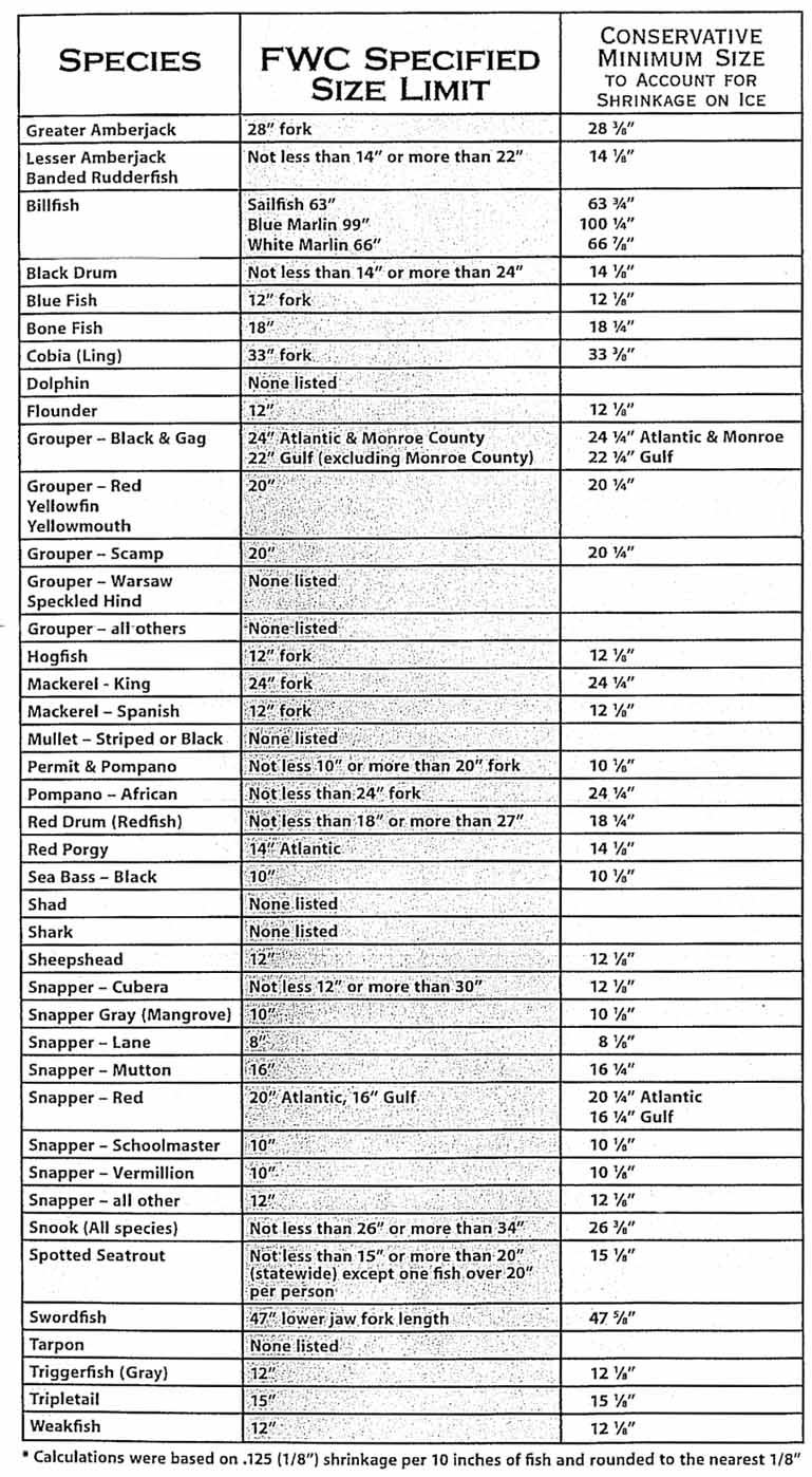 Fish Size Chart